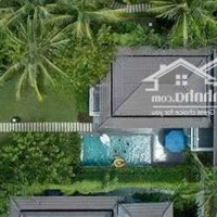 Cần Bán Gấp Căn Villa Premier 4 Phòng Ngủview Biển Full Nội Thất, Khai Thác 1,2 Tỷ/Năm, Sổ Hồng Lâu Dài