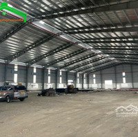 Cho Thuê Kho Xưởng 15100M2 Sạch Đẹp Giá Tốt Trong Kcn Nam Thuận, Đức Hòa, Long An