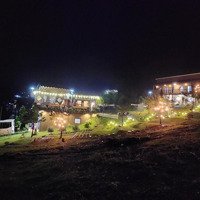 Bán Đất View Đẹp Ngay Khu Homestay Lộc Quảng Hill - Bảo Lộc 980 Triệu/Nền