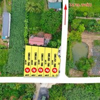 Bán 2 Lô Đất Nền 115M2, Thạch Tượng, Thạch Thành