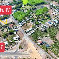 352M2 Sẵn Thổ Cư- Đường Nhựa Lớn Cách Biển Phước Hải 3Km. Bao Rào Kiên Cố.