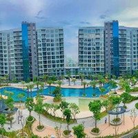 Căn 2 Phòng Ngủ- View Biển - Tháp C4 - Diamond Centery Giá Gốc Cđt Rẻ Nhất,Tt 1.1 Tỷ Nhận Nhà,Celadon City