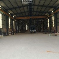 Cho Thuê Kho Xưởng 14.120M2 Mặt Tiền Đường Hồ Văn Tăng, Tân Phú Trung, Củ Chi