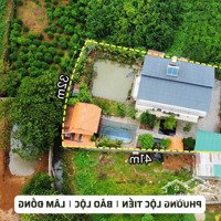 Nhà Vườn Trung Tâm Bảo Lộc, H. 44 Nguyễn Tri Phương, Lộc Tiến,Diện Tích976M2 (23M X 41M), Tiếp Giáp Suối