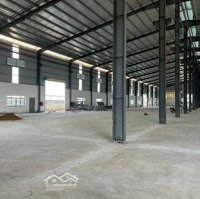 Cho Thuê Nhà Kho Diện Tích 990M2 Gần Nguyễn Hữu Thọ - Mới Xây - Giá Bán 46 Triệu/Th