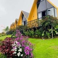 BĐS nghĩ dưỡng 7*25*100 View HỒ rộng lớn, đầy đủ tiện ích, khu camping 4tr/m2