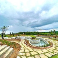 Homestay Nghỉ Dưỡng 1000M2 Đầu Tiên Tại Bình Phước Giá 279 Triệu