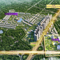 Chính Chủ Gửi Bán Cắt Lỗ 1 Số Căn Liền Kề Sh Chân Chung Cư Hinode Royal Park Vị Trí Đẹp Tiềm Năng !