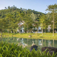 Khu Đô Thị Xanh Villas Từ 12 Tỷ - 20 Tỷ/Căn | Quỹ Hàng Đẹp Khu A,B,C Giá Tốt Nhất Dự Án