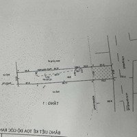 Chính Chủ Cần Bán Gấp Đất Mặt Tiền Đường 12M. Diện Tích 117,6M2 Tại Xã Trường Thạnh, Quận 9, Hcm