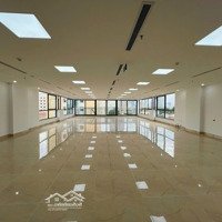 Cho Thuê Tòa Nhà Ngang 10 Diện Tích 1000M2 Giá 145 Triệu