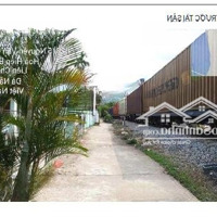 Bán Đấu Giá 174,9M2 Đất Ở Tại Hòa Hiệp Bắc, Liên Chiểu, Đà Nẵng