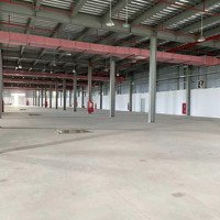 Cho Thuê Kho, Xưởng 3000M2, 6000M2 Tại Ccn Kim Quan, Thạch Thất, Hà Nội Có Pccc Tự Động