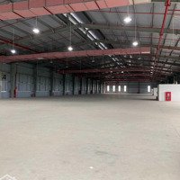 Cho Thuê Kho, Xưởng 3000M2, 6000M2 Tại Ccn Kim Quan, Thạch Thất, Hà Nội Có Pccc Tự Động