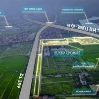 Diamond Avenue: Pháp Lý Vững Vàng - Sẵn Sàng Chuyển Nhượng