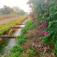 Chính chủ cần bán lô đất hướng đông nam, đường Ea Kao-Hoà Khánh, Buôn Ma Thuột, Đăk Lăk (chưa qua đầu tư).