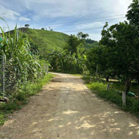 Bán Gấp Đất Khánh Thành, Khánh Vĩnh, Nha Trang