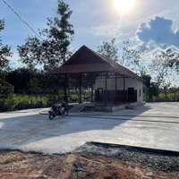 Bán Đất Vườn Diện Tích 3000M2 Phường Minh Hưng Tx Chơn Thành Bình Phước