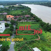 Lô View Sông Đảo Kim Cương, Trường Thạnh, Q9 Chỉ 6,9 Tỷ