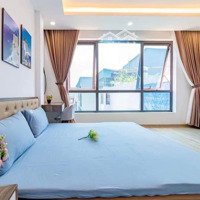 Căn Hộ Ccmn Nguyễn Thái Học, Ba Đình, 40M2*6T, Thang Máy, Xây Mới, Pccc Đạt Chuẩn, 10Pkkdiện Tích 60 Triệu