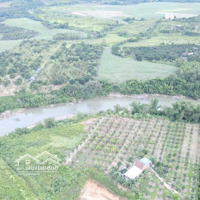 Bán Đất Giáp Sông Rất Đẹp Tặng Vườn Bưởi 1,6 Hecta Trung Tâm Huyện Khánh Vĩnh Liên Hệ: 0788.558.552