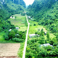 Bán Trang Trại Gà Tại Lương Sơn, Hoà Bình