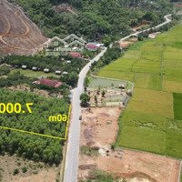 Bán Đất Quy Hoạch 7.000M2 Thổ Cư Xã Khánh Phú, Khánh Vĩnh Gần Kdl Yangbay Liên Hệ: 0788.558.552