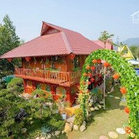 Bán Homestay Tại Minh Phú - Sóc Sơn - Hà Nội