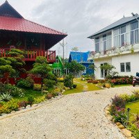 Bán Homestay Tại Minh Phú - Sóc Sơn - Hà Nội