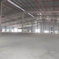 Cho Thuê Kho Xưởng 100M2 - 2000M2 Kcn Tân Đông Hiệp B, Dĩ An, Bình Dương