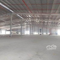 Cho Thuê Kho Xưởng 100M2 - 2000M2 Kcn Tân Đông Hiệp B, Dĩ An, Bình Dương