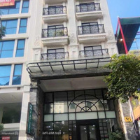 (Nợ Bank) Cần Bán Building 8 Tầng Siêu Đẹp - Mặt Phố Giảng Võ - 139M2 Mt: 8.6M - Dòng Tiền Khủng