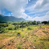 Bán Đất Nghỉ Dưỡng Yên Bình, View Núi, View Thung Lũng Cực Đẹp,Diện Tích530M2, Đơn Giá Mềm