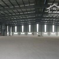 Cho thuê nhà xưởng 6.000m2 xã An Phước Phước, Long Thành, Đồng Nai