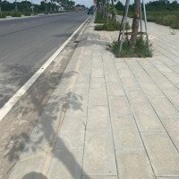 Bán Đất Nền Chính Chủ Bám Đường 20, Nghi Hoà, Cửa Lò, Nghệ An (Góc 2Mt 210M2)