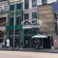 Toà Nhà Mặt Tiền Sư Vạn Hạnh - Đối Diện Vạn Hạnh Mall (8,5X23M, Hầm 10 Tầng) Hđt: 320 Triệu - 63 Tỷ