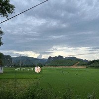 531M Có 100M Thổ Cư Tại Lương Sơn, View Cánh Đồng Giá Chỉ 1,25 Tỷ Chính Chủ