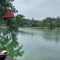 Bán nhà vườn mặt tiền đường nhựa, Sông Trầu, Trảng Bom, 10000m2, giá 8 tỷ 500.