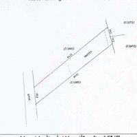 Cần Ra Lô Đất Huyện Đất Đỏ. Chỉ 705 Triệu Diện Tích 177M2 ( 80M2 Thổ Cư ). Sổ Sẵn