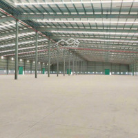 Công Ty Cần Cho Thuê Xưởng Kcn Mỹ Phước, 2000M2, 5000M2, 10.000M2 Đầy Đủ Pháp Lý.