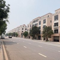 Bán Shophouse 3 Mặt Tiền,Vị Trí Siêu Đẹp Đường Đại Dương Vinhomes Ocean Park 2 Vừa Ở Vừa Kinh Doanh