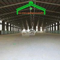 Bán Kho Xưởng 3115 M2 Trong Kcn Long Hậu, Xã Long Hậu, Huyện Cần Giuộc, Tỉnh Long An