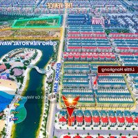 Bán Biệt Thự Song Lập San Hô 13 Áp Góc Vinhomes Ocean Park 2