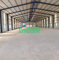 Cho Thuê Xưởng Chính Chủ 9000M2