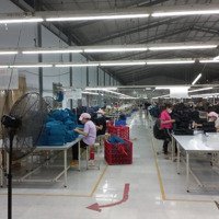 Cho Thuê Xưởng May 5000M2 Giá Cả Thương Lượng Chính Chủ