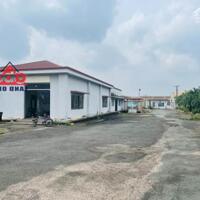 Cho thuê xưởng sản xuất tại Tam Phước, Biên Hòa, 15.500m2, giá thuê 350tr.