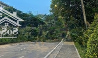 Bán Lk Botanic Gamuda, Nội Thất Long Lanh, 85M2 Sàn, Về Ở Ngay 0928118939
