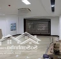 Nhận Ngay Mặt Bằng Phố Đào Tấn - Duy Nhất Trong Tháng Này, Thông Sàn, Cửa Kính, 100M2 X 5 Tầng- 50 Triệu