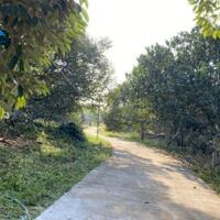 Bán đất vườn xã Xuân Mỹ huyện Cẩm Mỹ gần 25845m2 chỉ 17tỷ
