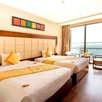 Cần Bán Khách Sạn Vip 4* Ngay Biển Mỹ Khê, Doanh Thu 2 Tỷ/Tháng Với 514M2 Đất, 16 Tầng